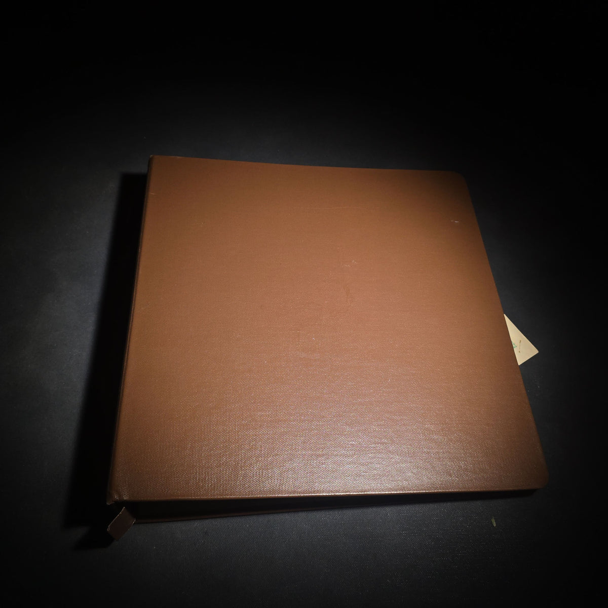Vintage Mexican-American Family Photo Album and Scrapbook, Barron and Lira Families, Caldwell, Texas, Circa 1930s-1950s, Including Photographs, Marriage Certificate, Newspaper Clippings, and Ephemera