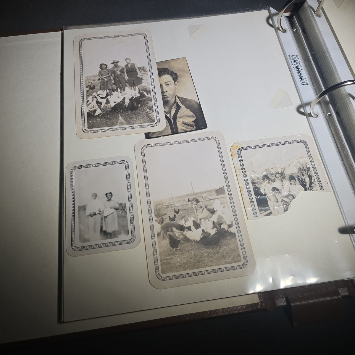 Vintage Mexican-American Family Photo Album and Scrapbook, Barron and Lira Families, Caldwell, Texas, Circa 1930s-1950s, Including Photographs, Marriage Certificate, Newspaper Clippings, and Ephemera