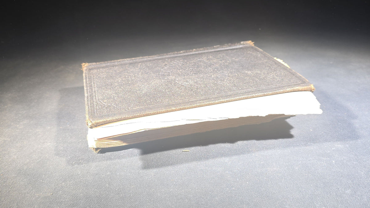 "The People's Common Sense Medical Adviser in Plain English" Antique Medical Book by R. V. Pierce, M.D., Fortieth Edition, Published by World's Dispensary Printing Office and Bindery, Buffalo, New York, 1885