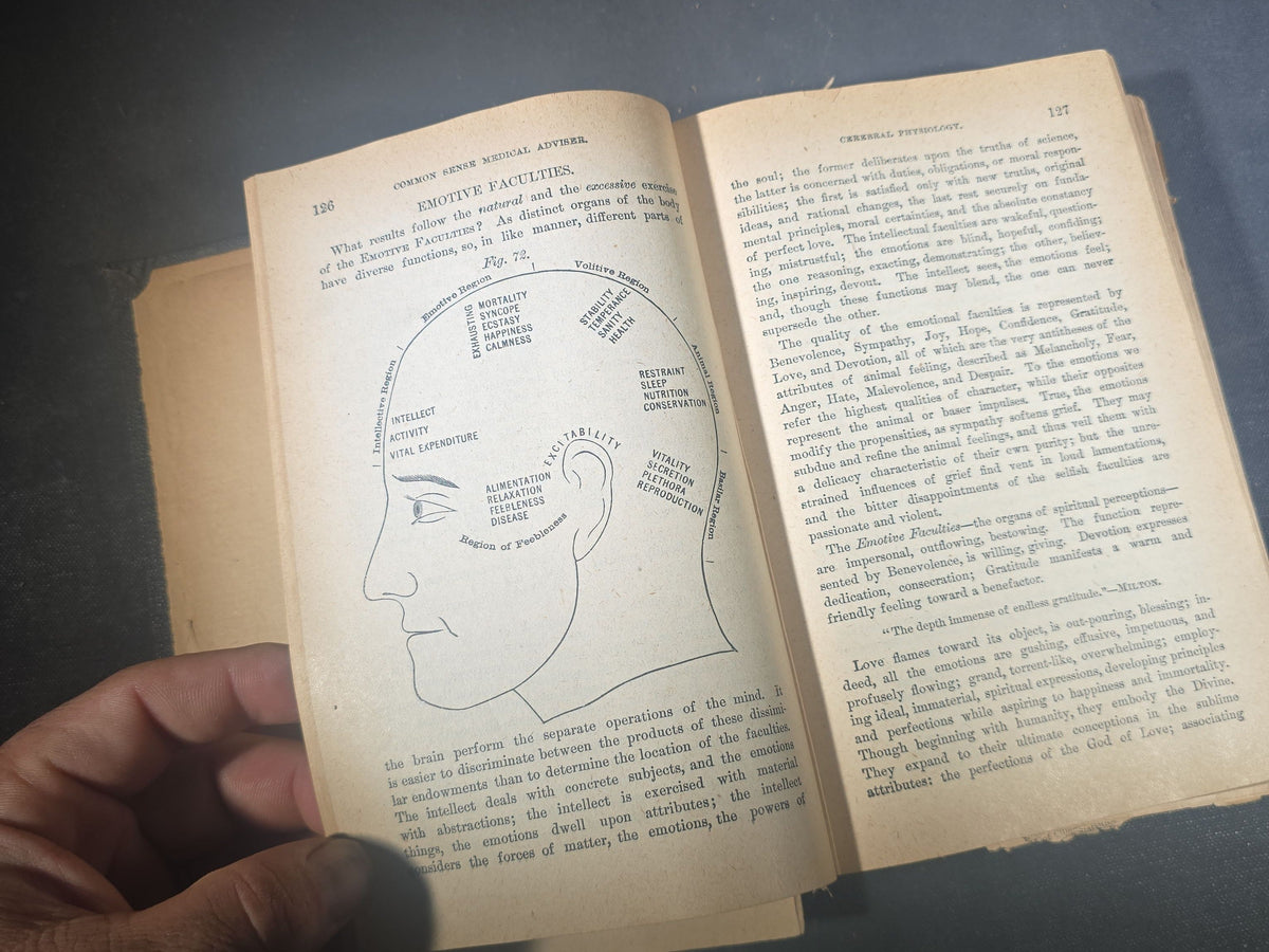 "The People's Common Sense Medical Adviser in Plain English" Antique Medical Book by R. V. Pierce, M.D., Fortieth Edition, Published by World's Dispensary Printing Office and Bindery, Buffalo, New York, 1885