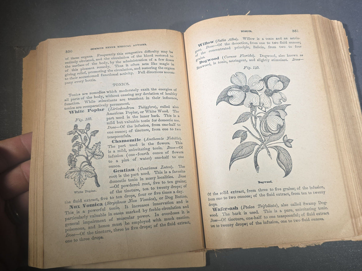 "The People's Common Sense Medical Adviser in Plain English" Antique Medical Book by R. V. Pierce, M.D., Fortieth Edition, Published by World's Dispensary Printing Office and Bindery, Buffalo, New York, 1885