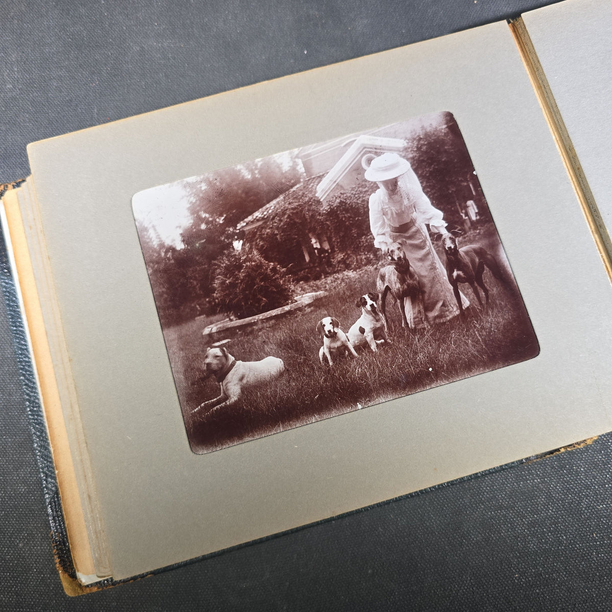 Antique Photo Album of British India Photographs including Dogs, Colonial Architecture, Encampments, and Monuments