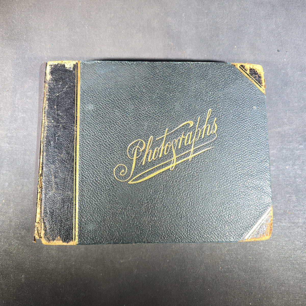 Antique Photo Album of British India Photographs including Dogs, Colonial Architecture, Encampments, and Monuments