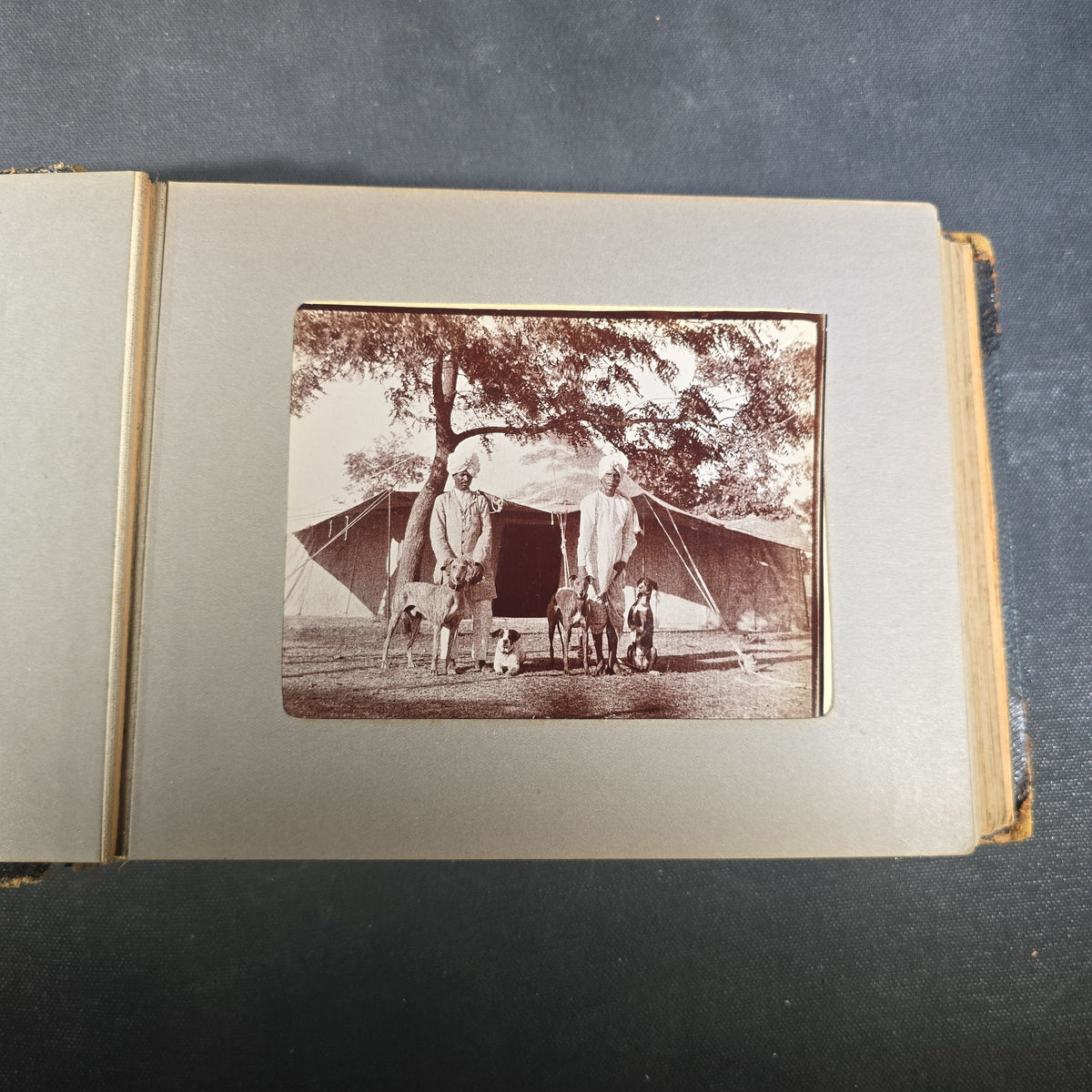 Antique Photo Album of British India Photographs including Dogs, Colonial Architecture, Encampments, and Monuments