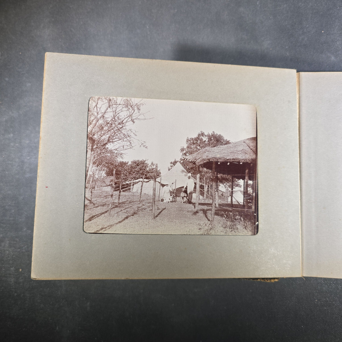 Antique Photo Album of British India Photographs including Dogs, Colonial Architecture, Encampments, and Monuments