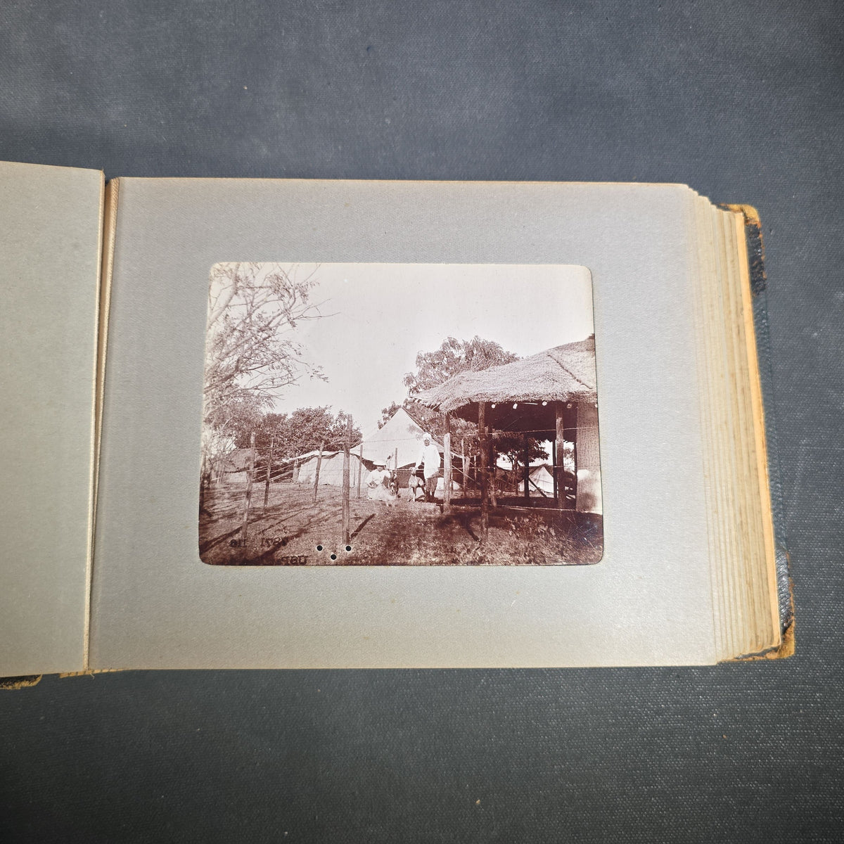 Antique Photo Album of British India Photographs including Dogs, Colonial Architecture, Encampments, and Monuments