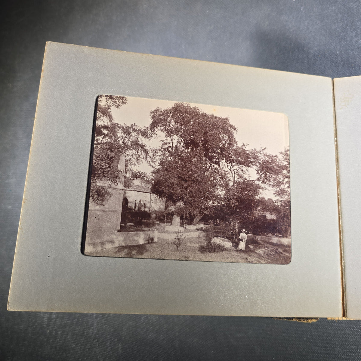 Antique Photo Album of British India Photographs including Dogs, Colonial Architecture, Encampments, and Monuments