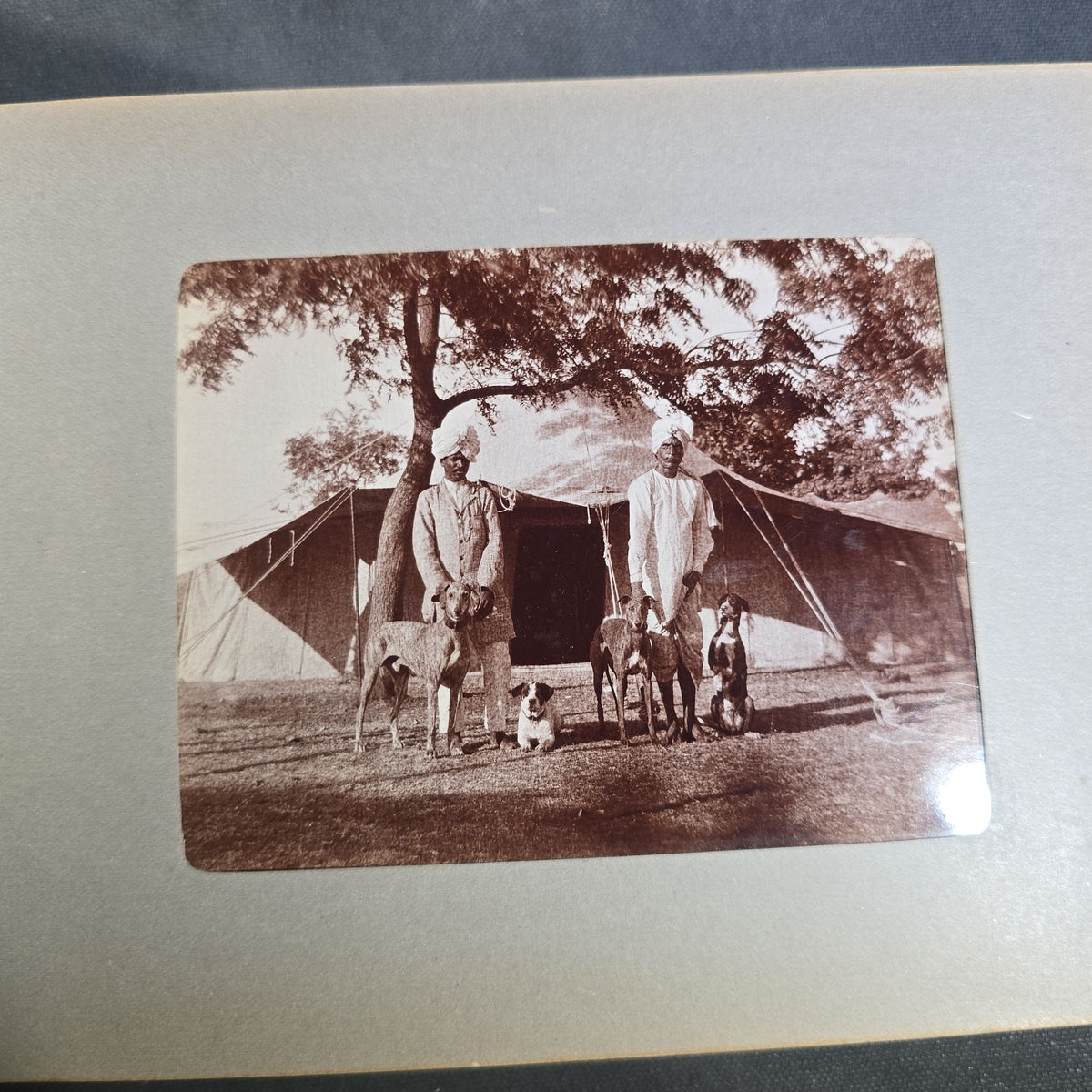 Antique Photo Album of British India Photographs including Dogs, Colonial Architecture, Encampments, and Monuments