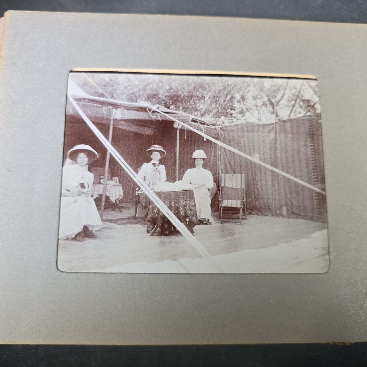 Antique Photo Album of British India Photographs including Dogs, Colonial Architecture, Encampments, and Monuments
