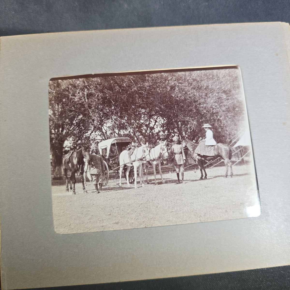 Antique Photo Album of British India Photographs including Dogs, Colonial Architecture, Encampments, and Monuments