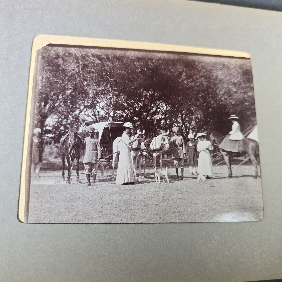 Antique Photo Album of British India Photographs including Dogs, Colonial Architecture, Encampments, and Monuments