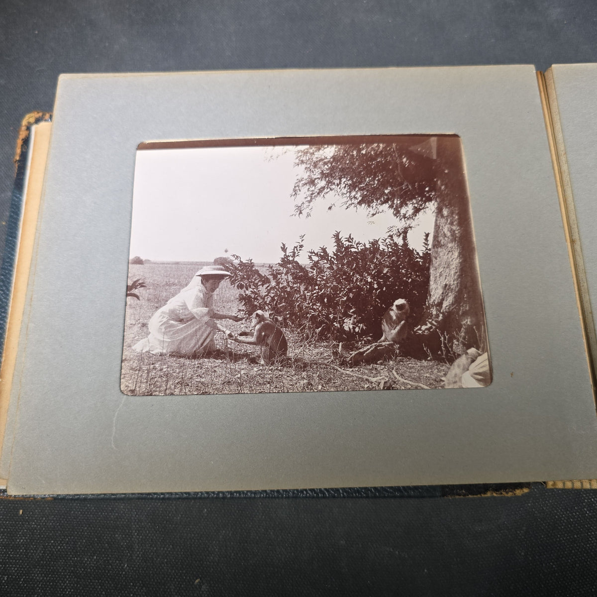 Antique Photo Album of British India Photographs including Dogs, Colonial Architecture, Encampments, and Monuments