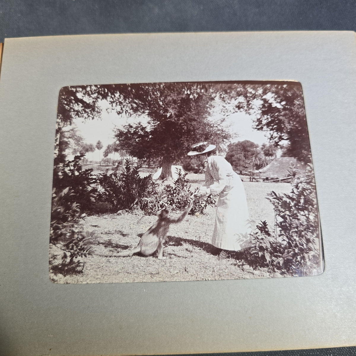 Antique Photo Album of British India Photographs including Dogs, Colonial Architecture, Encampments, and Monuments