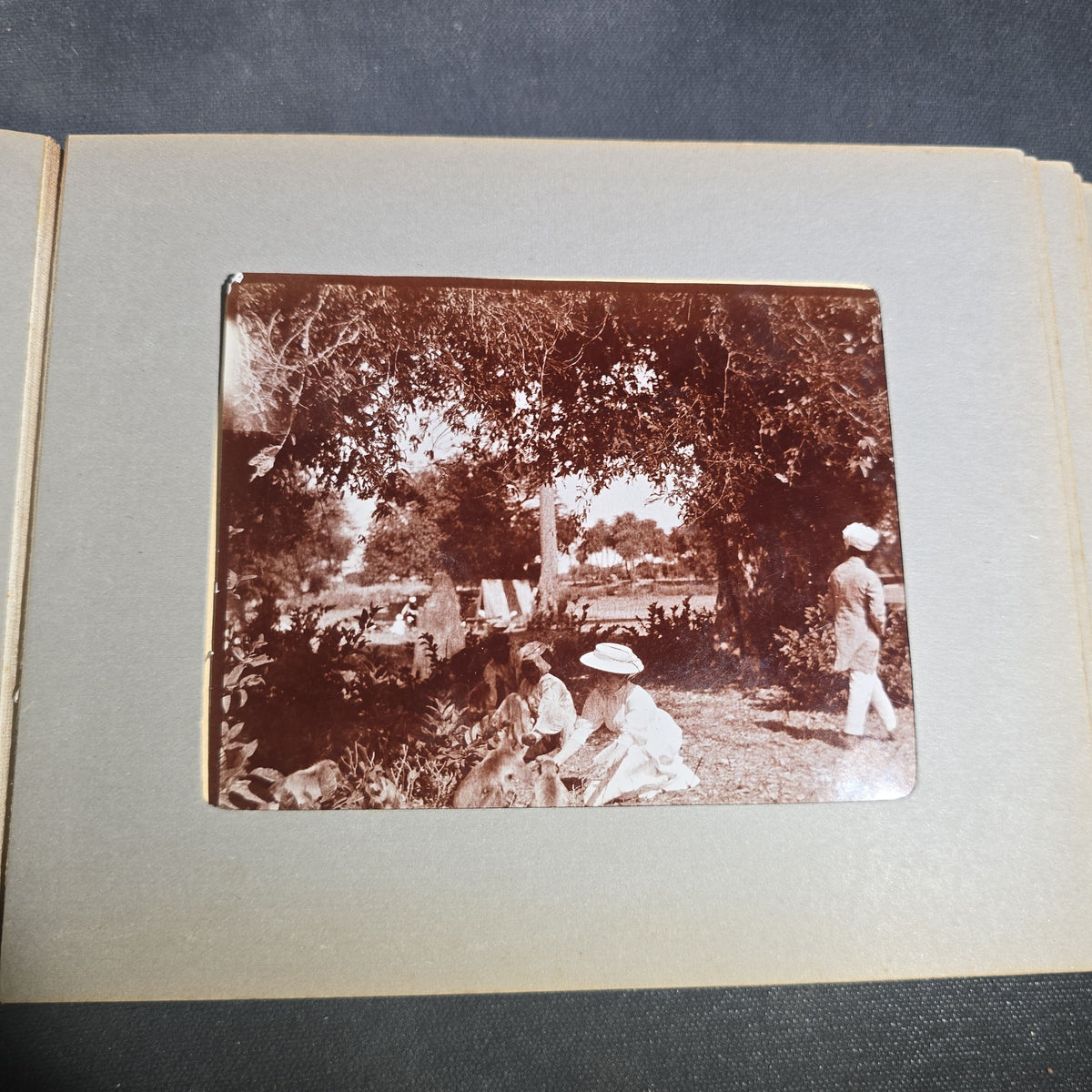 Antique Photo Album of British India Photographs including Dogs, Colonial Architecture, Encampments, and Monuments