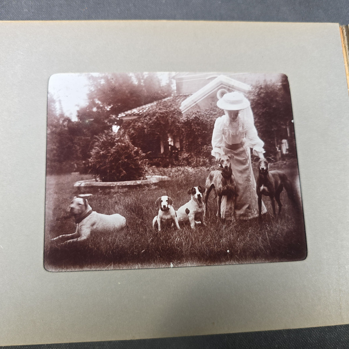 Antique Photo Album of British India Photographs including Dogs, Colonial Architecture, Encampments, and Monuments