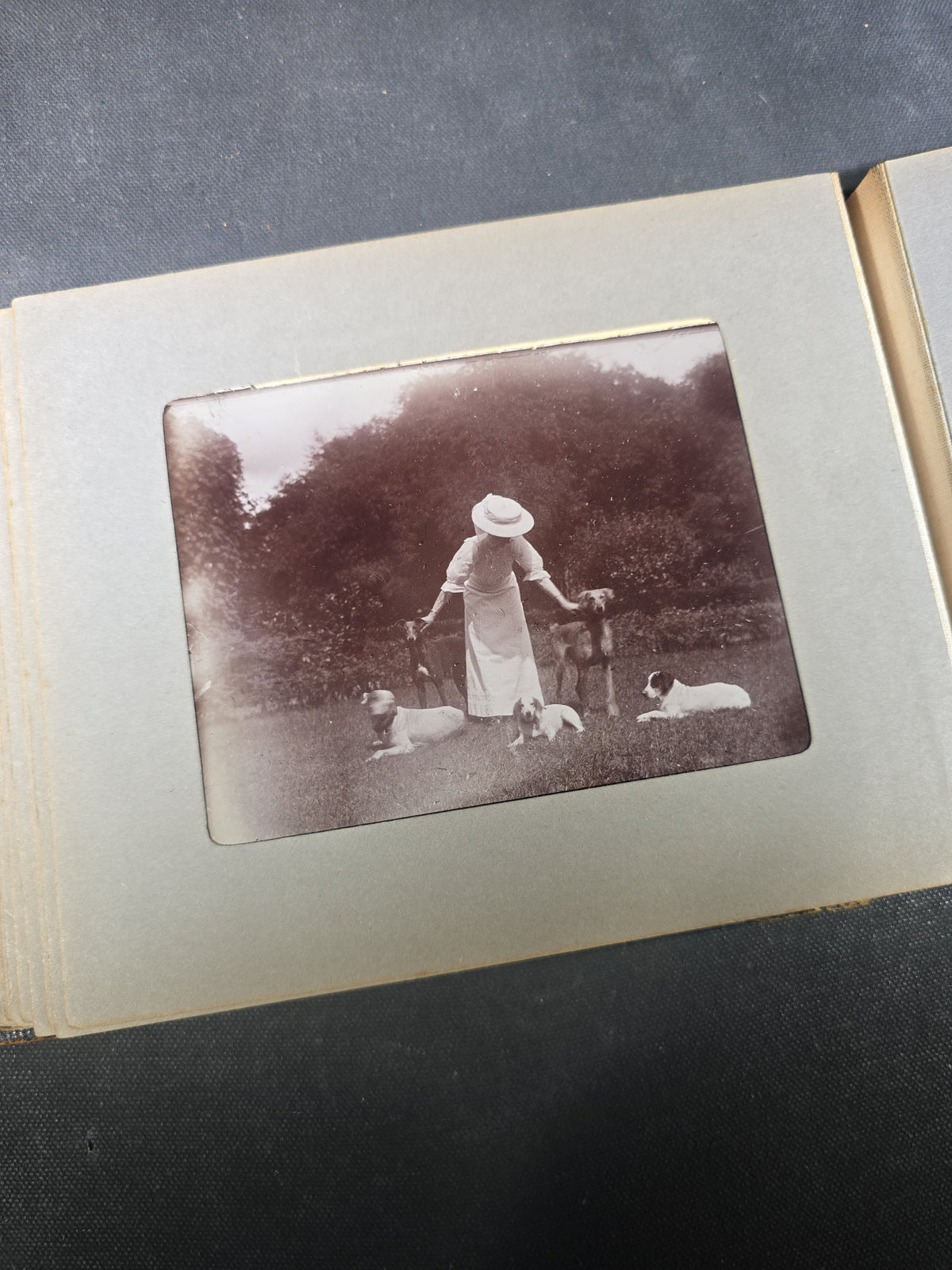 Antique Photo Album of British India Photographs including Dogs, Colonial Architecture, Encampments, and Monuments