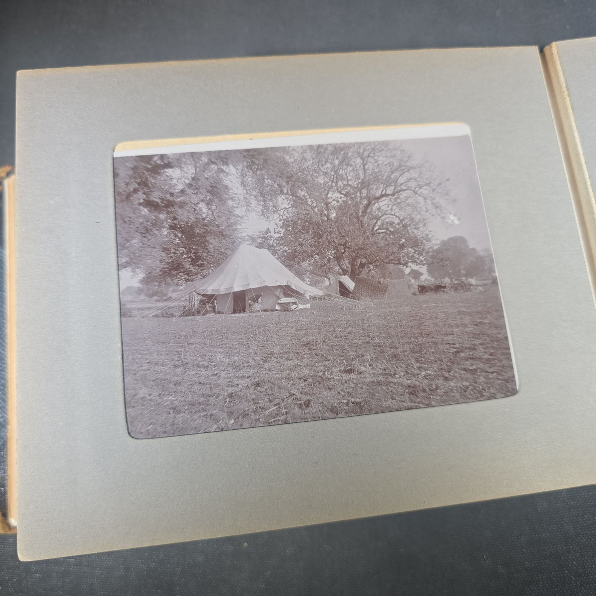 Antique Photo Album of British India Photographs including Dogs, Colonial Architecture, Encampments, and Monuments