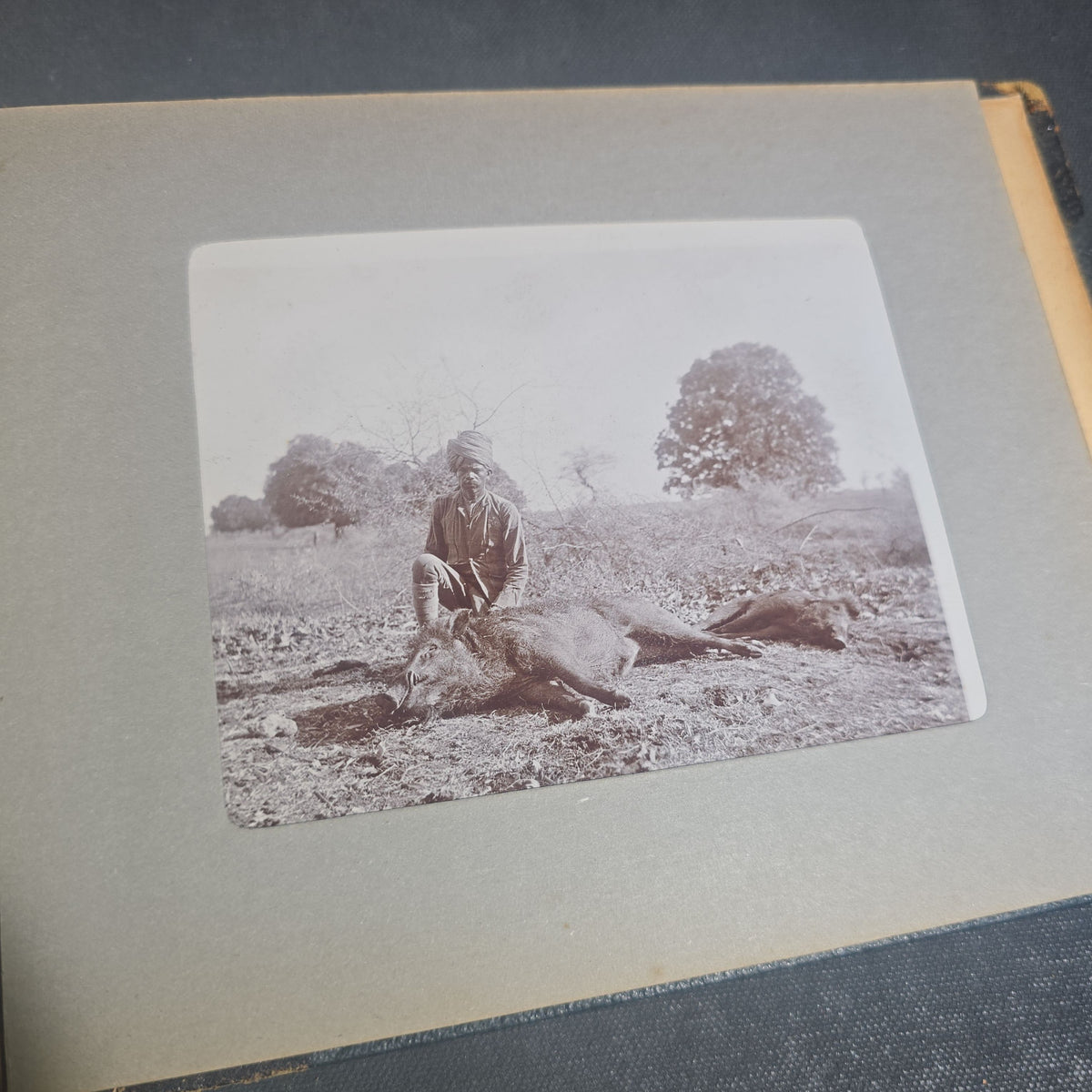 Antique Photo Album of British India Photographs including Dogs, Colonial Architecture, Encampments, and Monuments