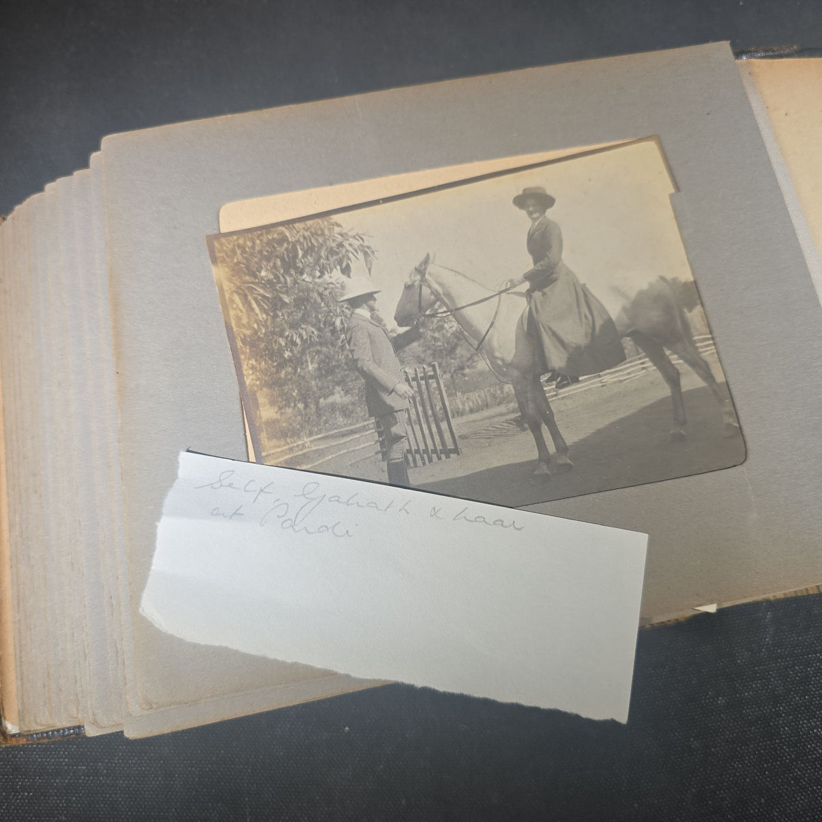 Antique Photo Album of British India Photographs including Dogs, Colonial Architecture, Encampments, and Monuments