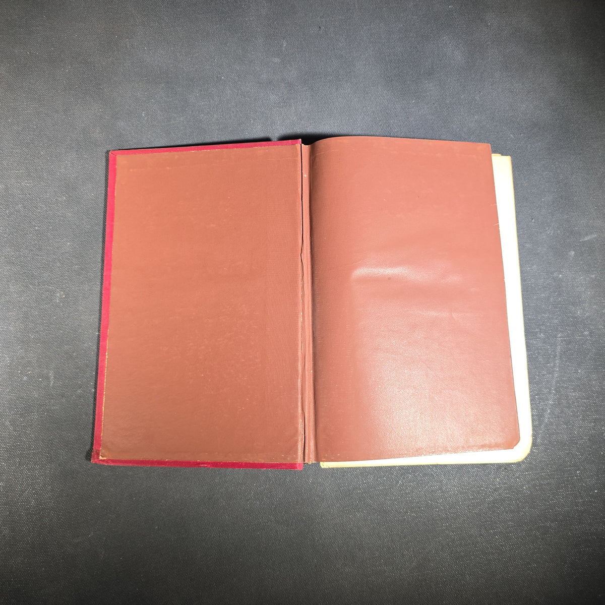 "Poems of Edgar Allan Poe" Antique Poetry Book by Edgar Allan Poe, Copyright 1882 by Henry L. Williams, Published by Hurst & Co., New York