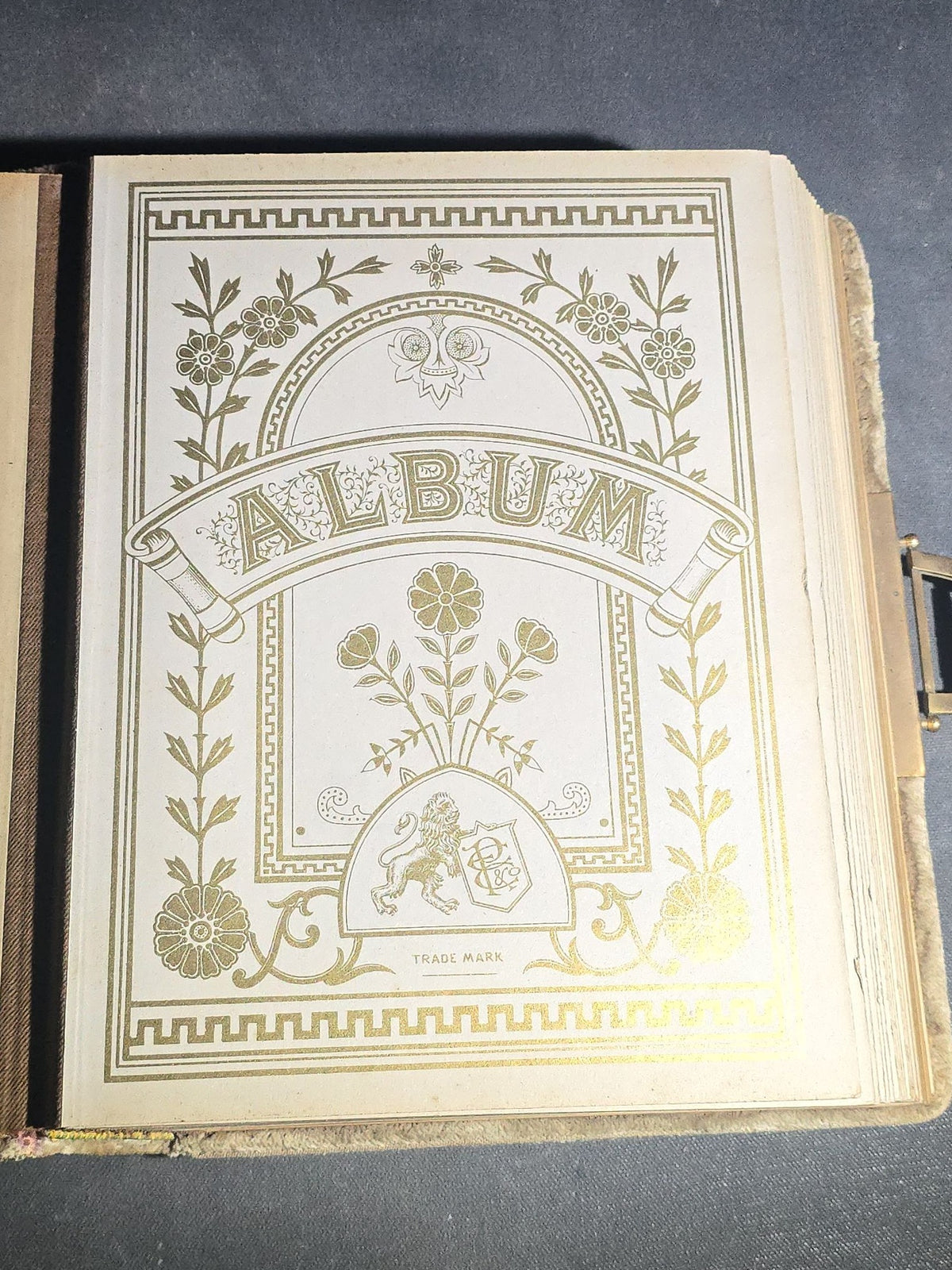 Antique Victorian Velvet Cover Photograph Album Containing Cabinet Card and C.D.V. Portraits, Mostly from Vermont, including Members of the Parker and Wight Families, Some Identified