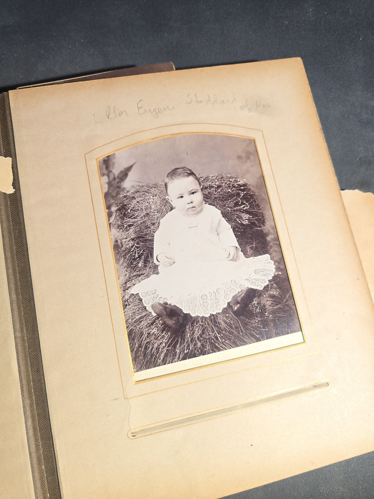 Antique Victorian Cabinet Card Photograph Album with Multiple Portraits, including Photographs by Jacoby of Minneapolis, Minnesota and Hastings of Newport, Rhode Island
