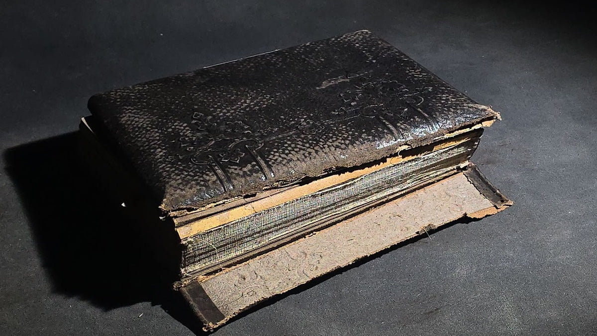 Antique Victorian Cabinet Card Photograph Album with Multiple Portraits, including Photographs by Jacoby of Minneapolis, Minnesota and Hastings of Newport, Rhode Island