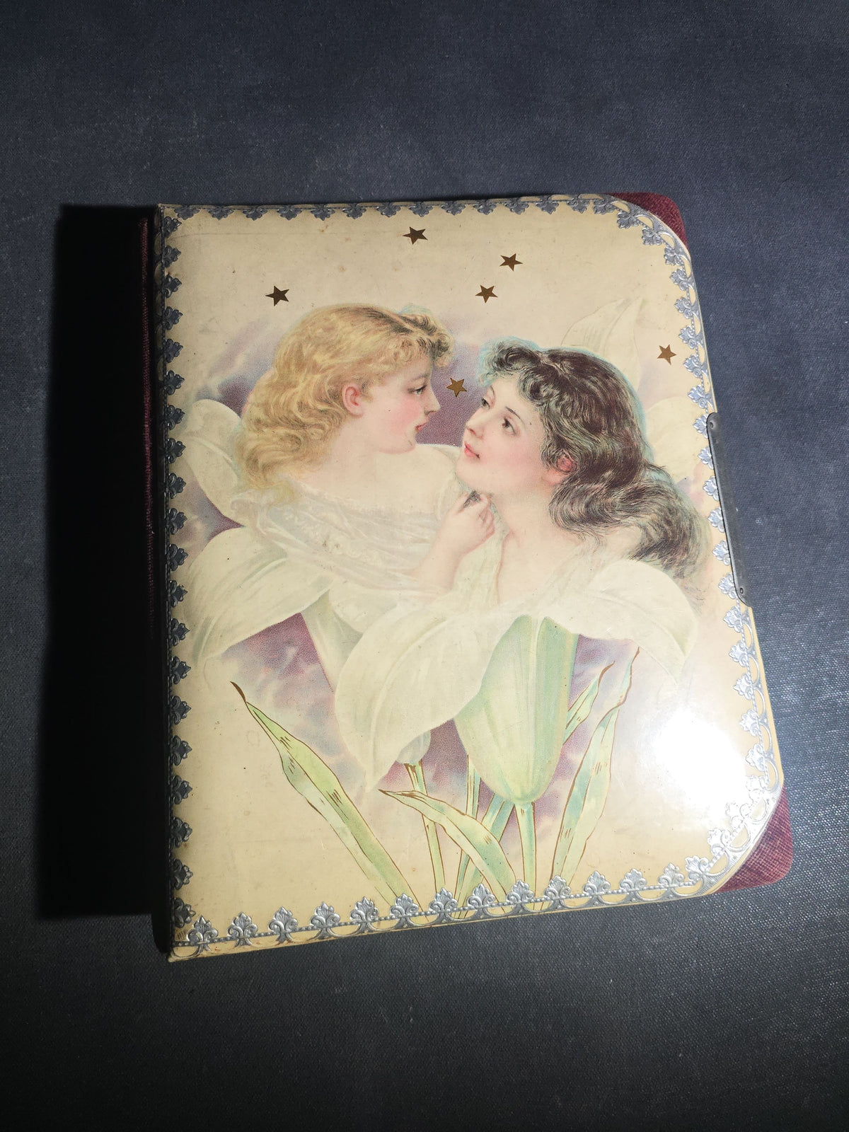 Antique Victorian Celluloid Cover Cabinet Card and C.D.V. Photograph Album with Two Women Among Tulips
