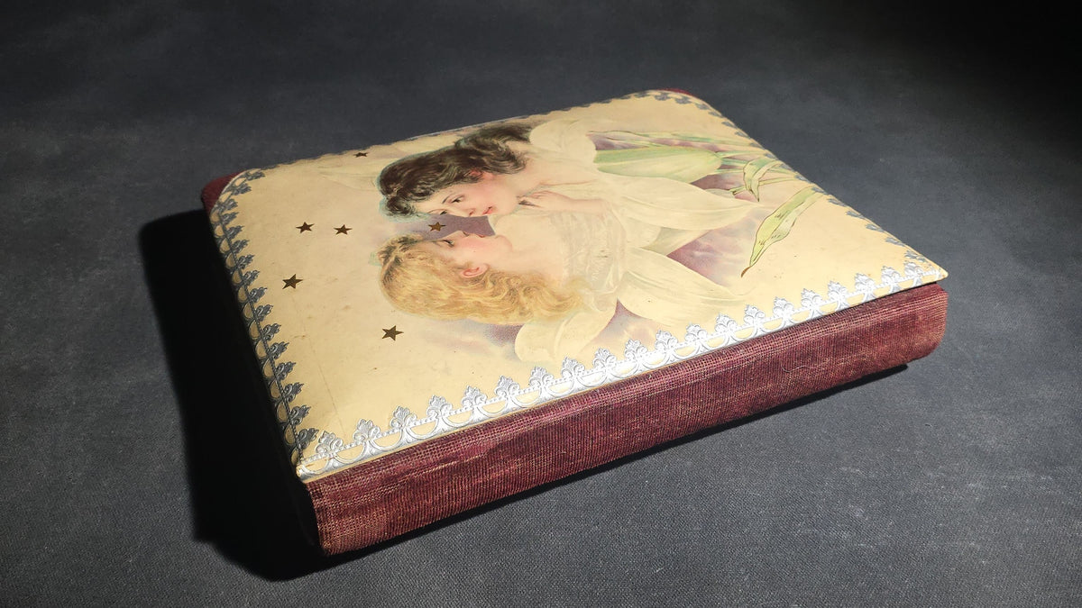 Antique Victorian Celluloid Cover Cabinet Card and C.D.V. Photograph Album with Two Women Among Tulips