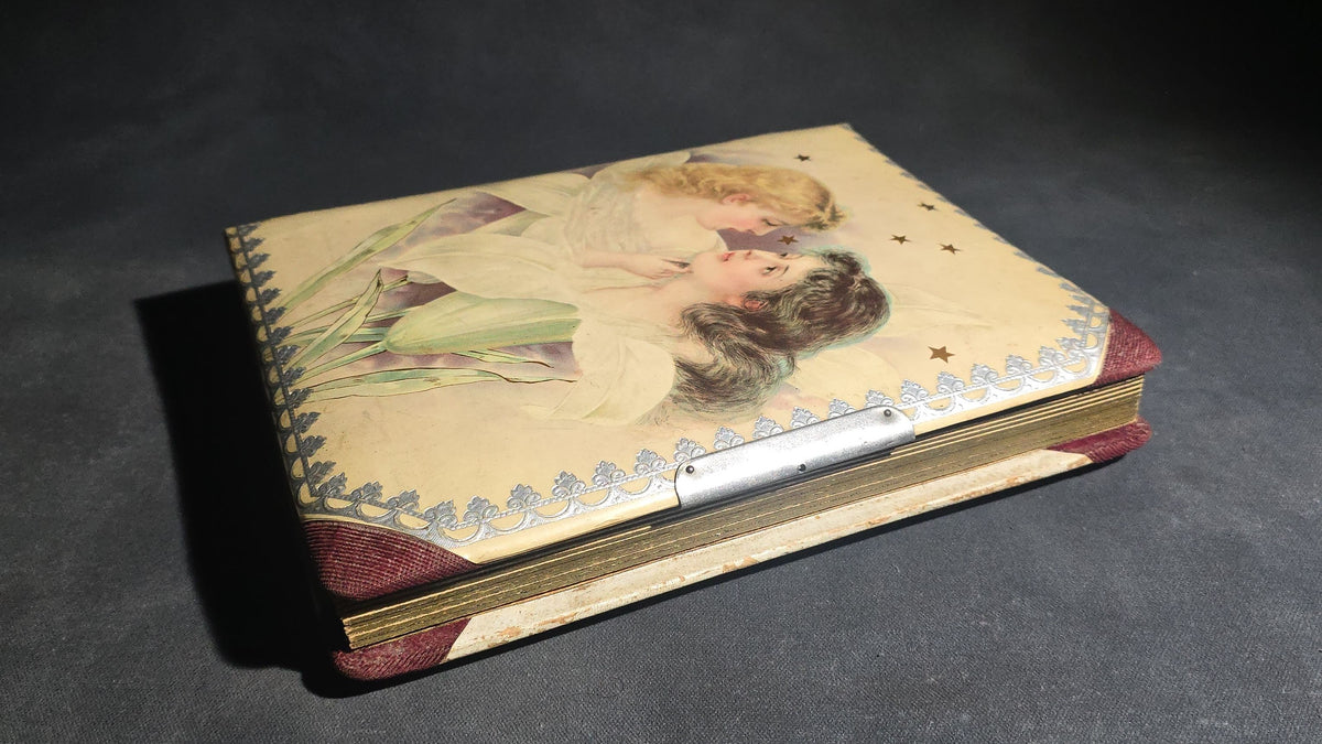 Antique Victorian Celluloid Cover Cabinet Card and C.D.V. Photograph Album with Two Women Among Tulips