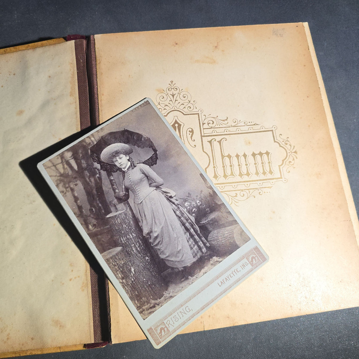 Antique Victorian Celluloid Cover Cabinet Card and C.D.V. Photograph Album with Two Women Among Tulips
