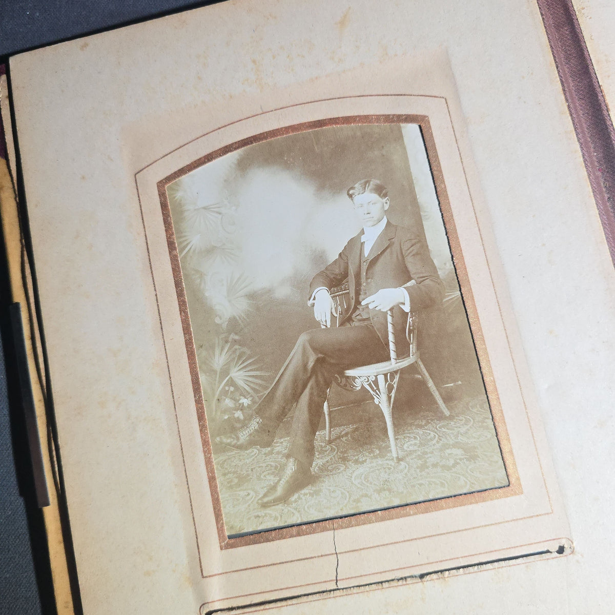 Antique Victorian Celluloid Cover Cabinet Card and C.D.V. Photograph Album with Two Women Among Tulips