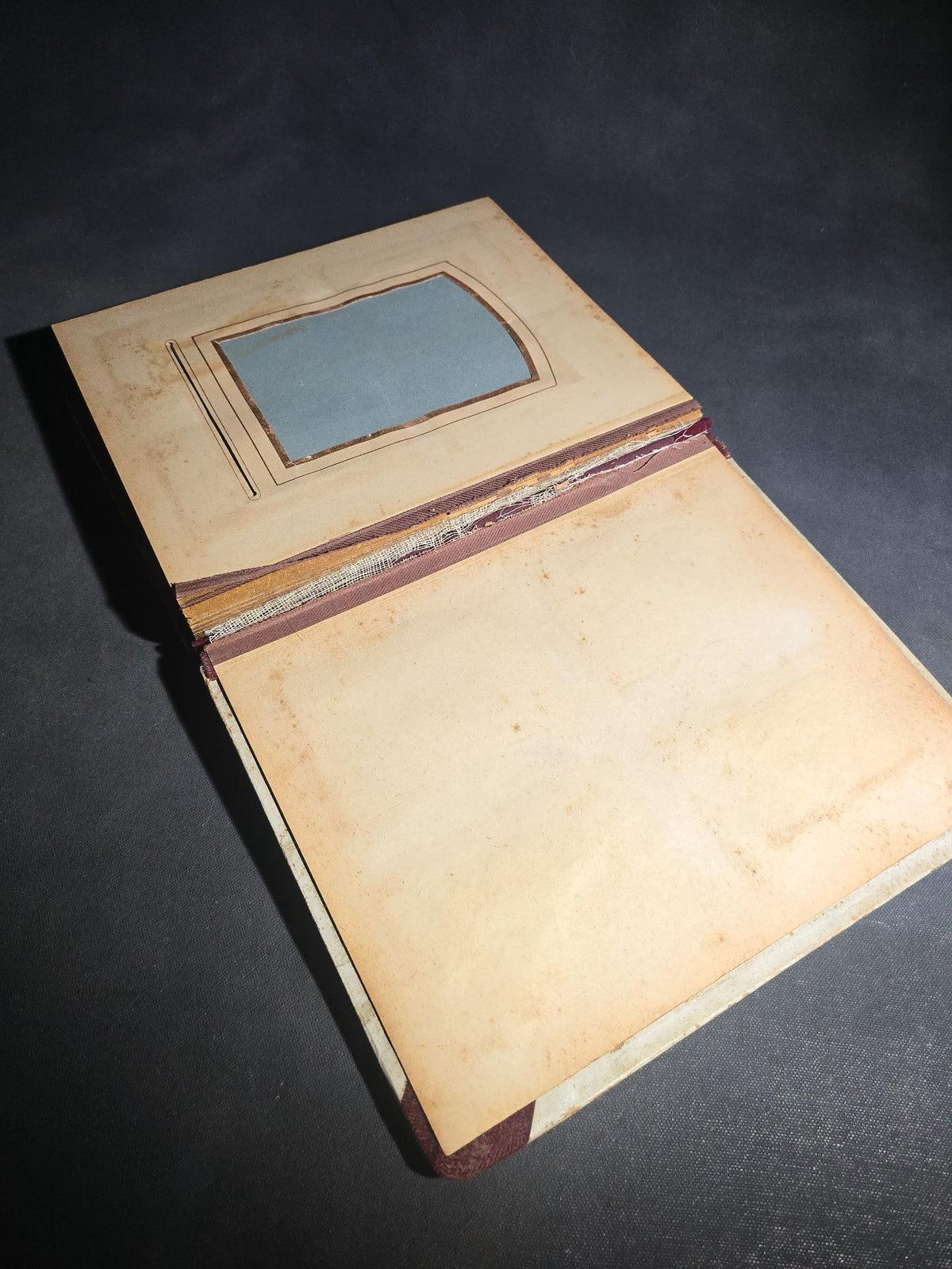 Antique Victorian Celluloid Cover Cabinet Card and C.D.V. Photograph Album with Two Women Among Tulips
