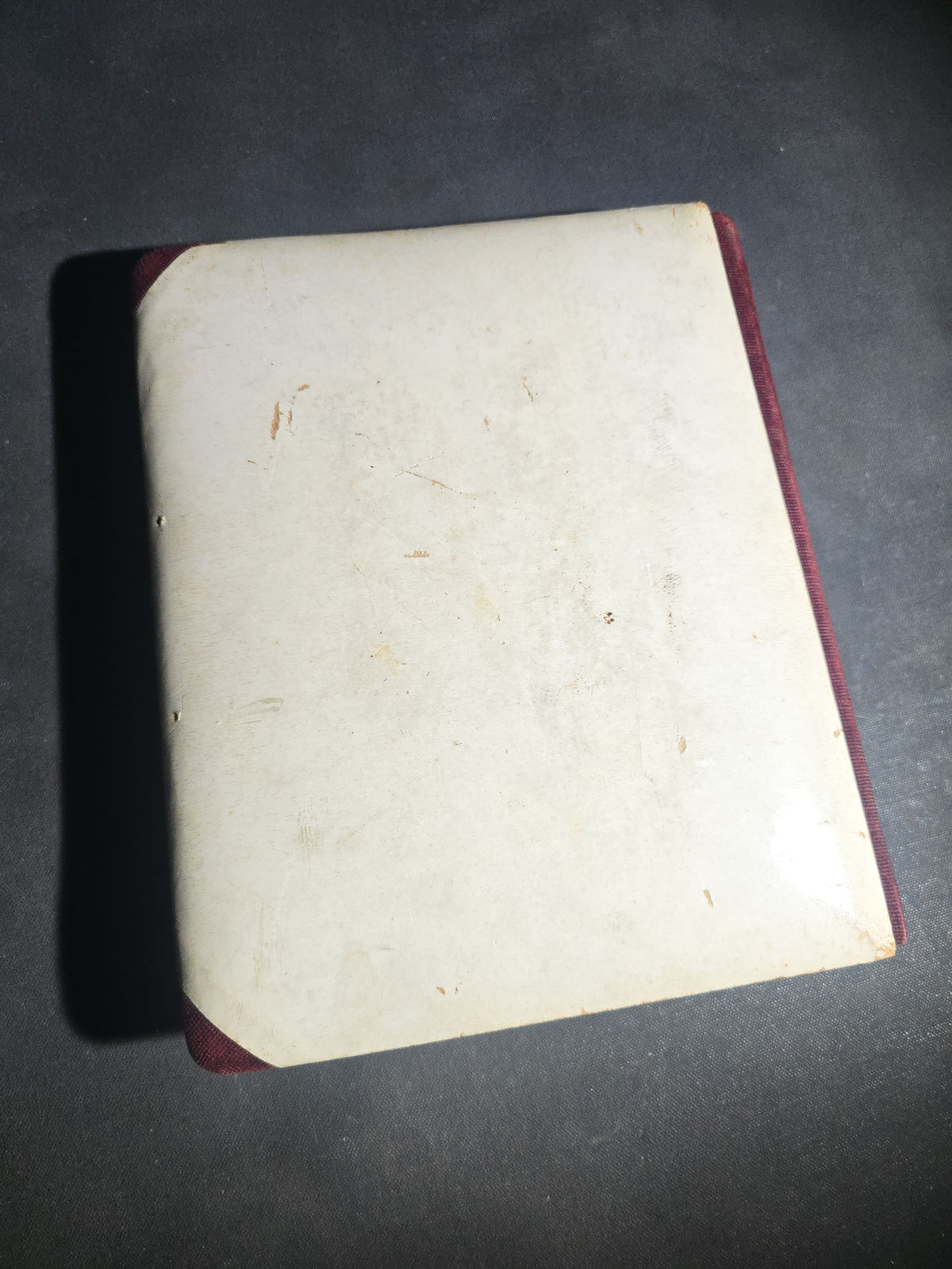 Antique Victorian Celluloid Cover Cabinet Card and C.D.V. Photograph Album with Two Women Among Tulips
