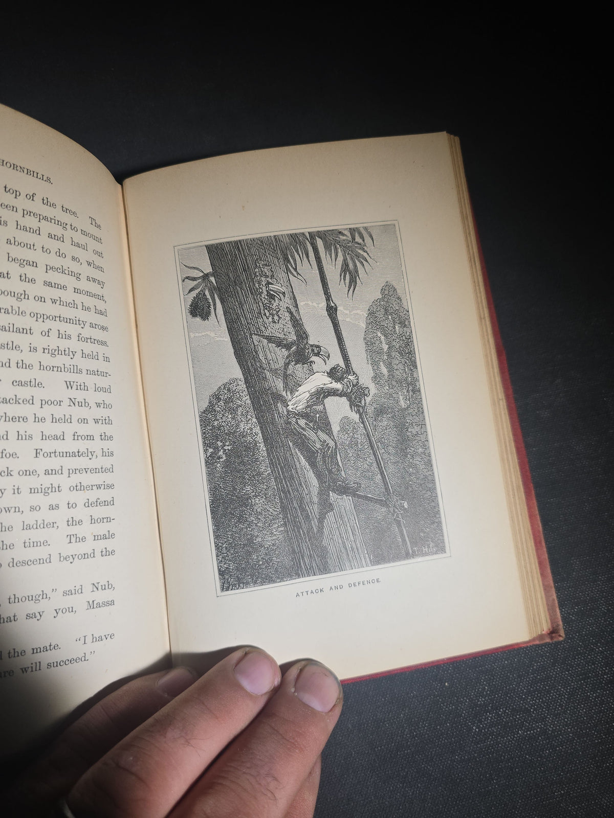 "The South Sea Whaler" Antique Whaling Adventure Book by W. H. G. Kingston, with 31 Engravings, Published by T. Nelson and Sons, London, 1892