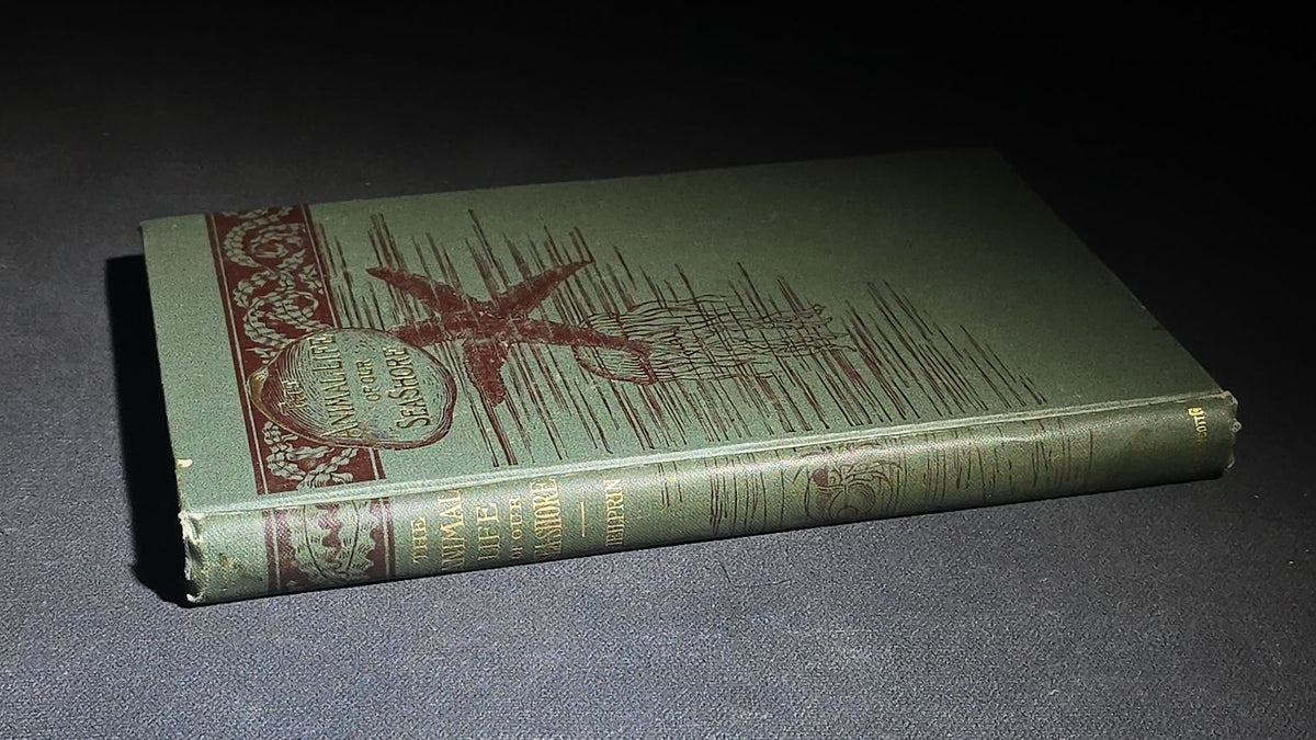 "The Animal Life of Our Sea-Shore" Antique Illustrated Marine Biology Book by Angelo Heilprin, Second Edition, Published by J. B. Lippincott Company, Philadelphia, Pennsylvania, 1888