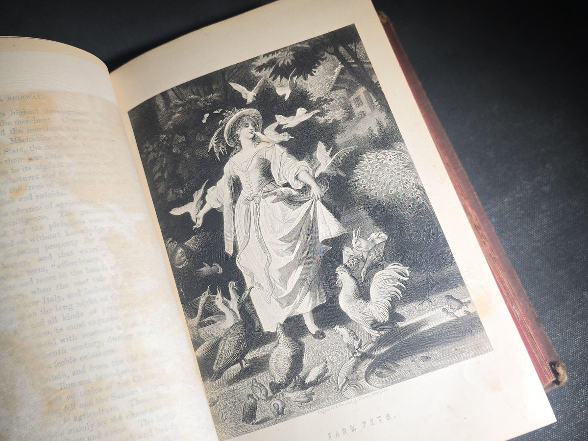 "The Imperial Highway to Fortune, Happiness and Heaven" Antique Illustrated Book by Jerome Paine Bates, Published by J. W. Goodspeed, Chicago, Illinois, 1878