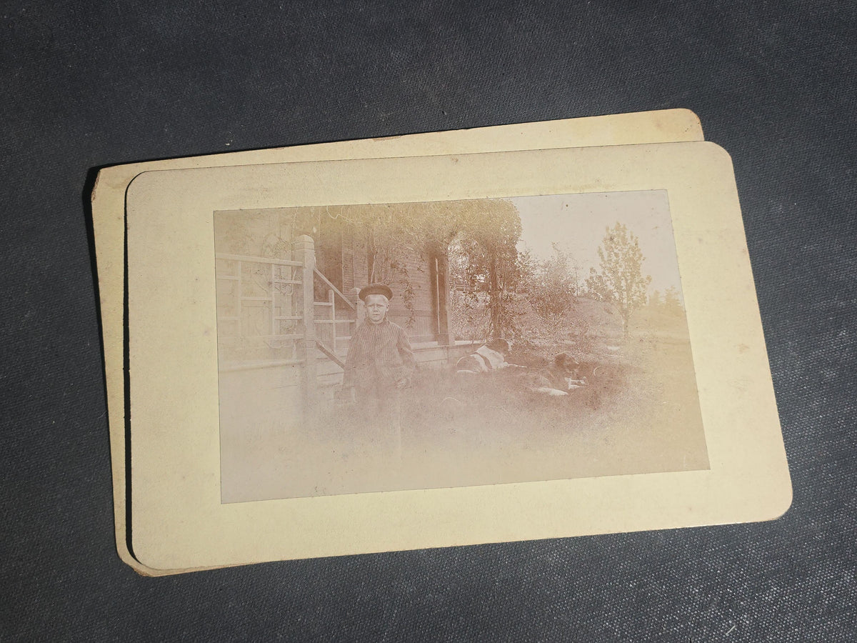 Grouping of 11 Antique Board-Mounted Photographs, Circa 1890s, including Woman with Bicycle, Boy with Donkey in Snow, Boy with Dogs, Family Portrait, Women on Porch, and Winter House Scenes
