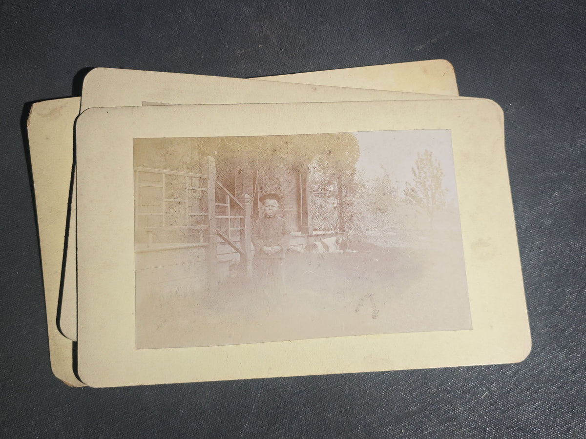 Grouping of 11 Antique Board-Mounted Photographs, Circa 1890s, including Woman with Bicycle, Boy with Donkey in Snow, Boy with Dogs, Family Portrait, Women on Porch, and Winter House Scenes