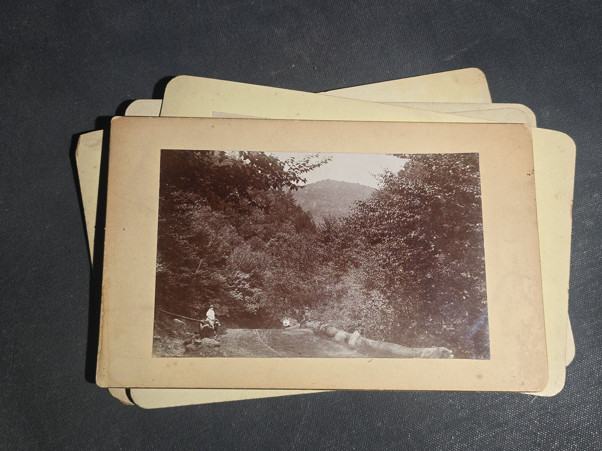 Grouping of 11 Antique Board-Mounted Photographs, Circa 1890s, including Woman with Bicycle, Boy with Donkey in Snow, Boy with Dogs, Family Portrait, Women on Porch, and Winter House Scenes