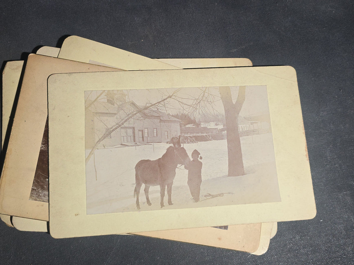 Grouping of 11 Antique Board-Mounted Photographs, Circa 1890s, including Woman with Bicycle, Boy with Donkey in Snow, Boy with Dogs, Family Portrait, Women on Porch, and Winter House Scenes