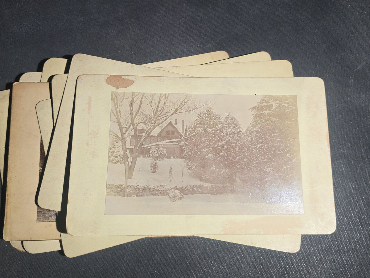 Grouping of 11 Antique Board-Mounted Photographs, Circa 1890s, including Woman with Bicycle, Boy with Donkey in Snow, Boy with Dogs, Family Portrait, Women on Porch, and Winter House Scenes