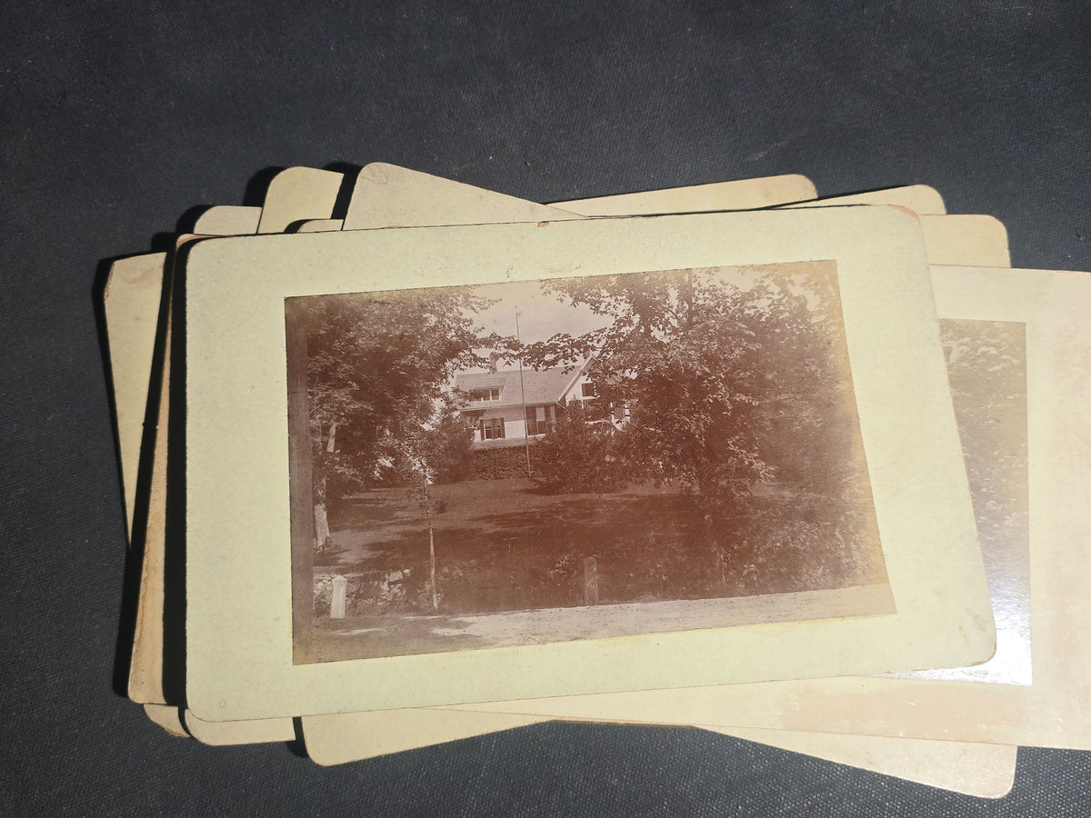 Grouping of 11 Antique Board-Mounted Photographs, Circa 1890s, including Woman with Bicycle, Boy with Donkey in Snow, Boy with Dogs, Family Portrait, Women on Porch, and Winter House Scenes