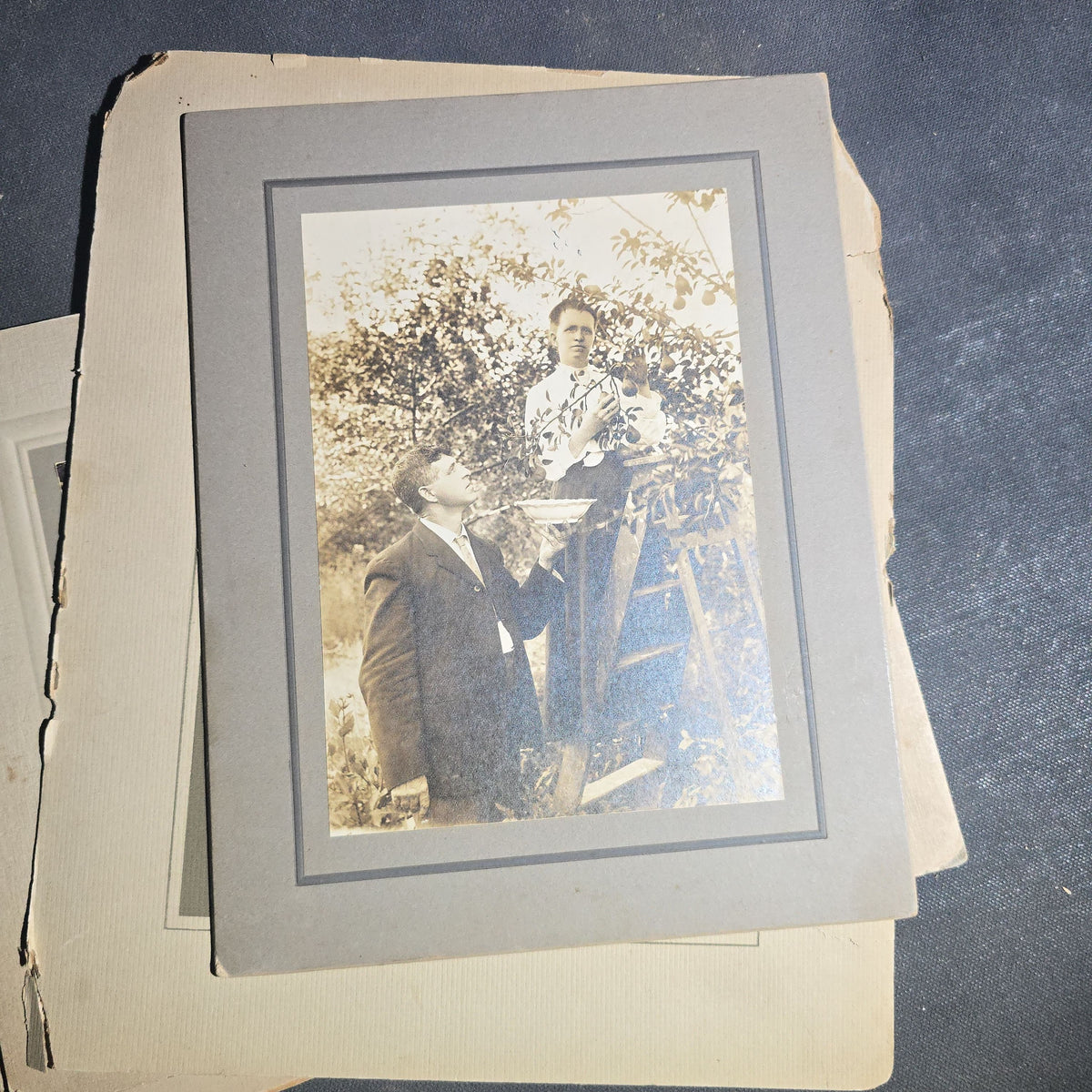 Grouping of Seven Antique and Vintage Board-Mounted and Foldered Photographs including Community Gatherings, Family Portraits, City Hall Group, and Conway "12" Inscription