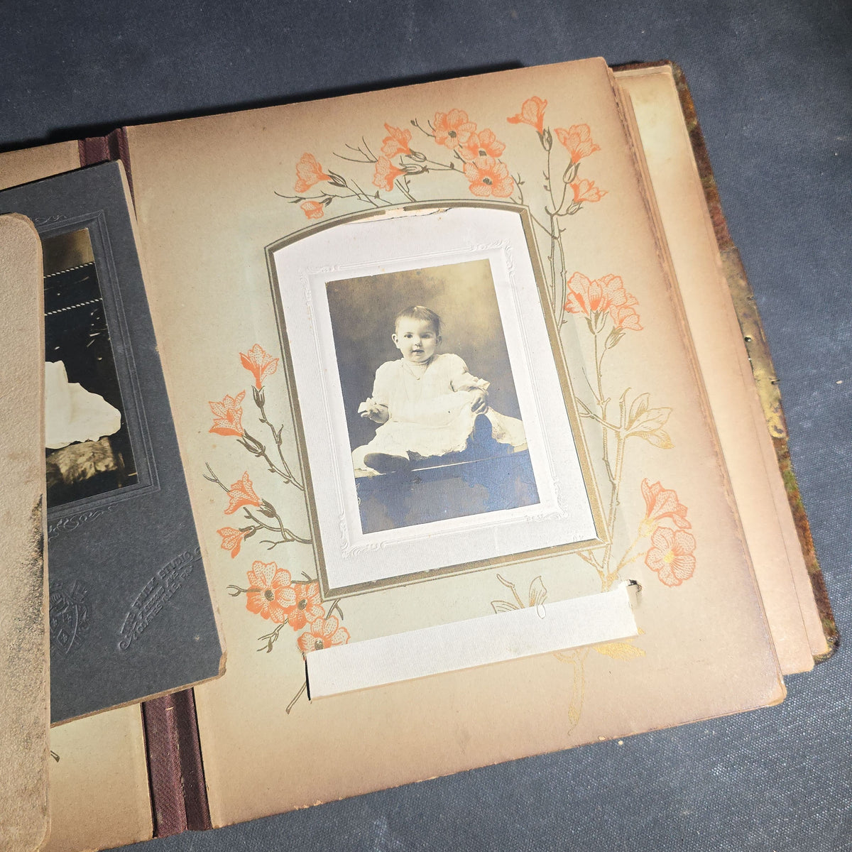 Antique Victorian Celluloid Cover Photo Album with Woman Holding Fan on Cover, Containing Cabinet Card Photographs, C.D.V.s, and Snapshot Photographs