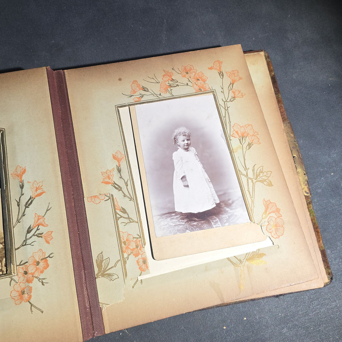 Antique Victorian Celluloid Cover Photo Album with Woman Holding Fan on Cover, Containing Cabinet Card Photographs, C.D.V.s, and Snapshot Photographs