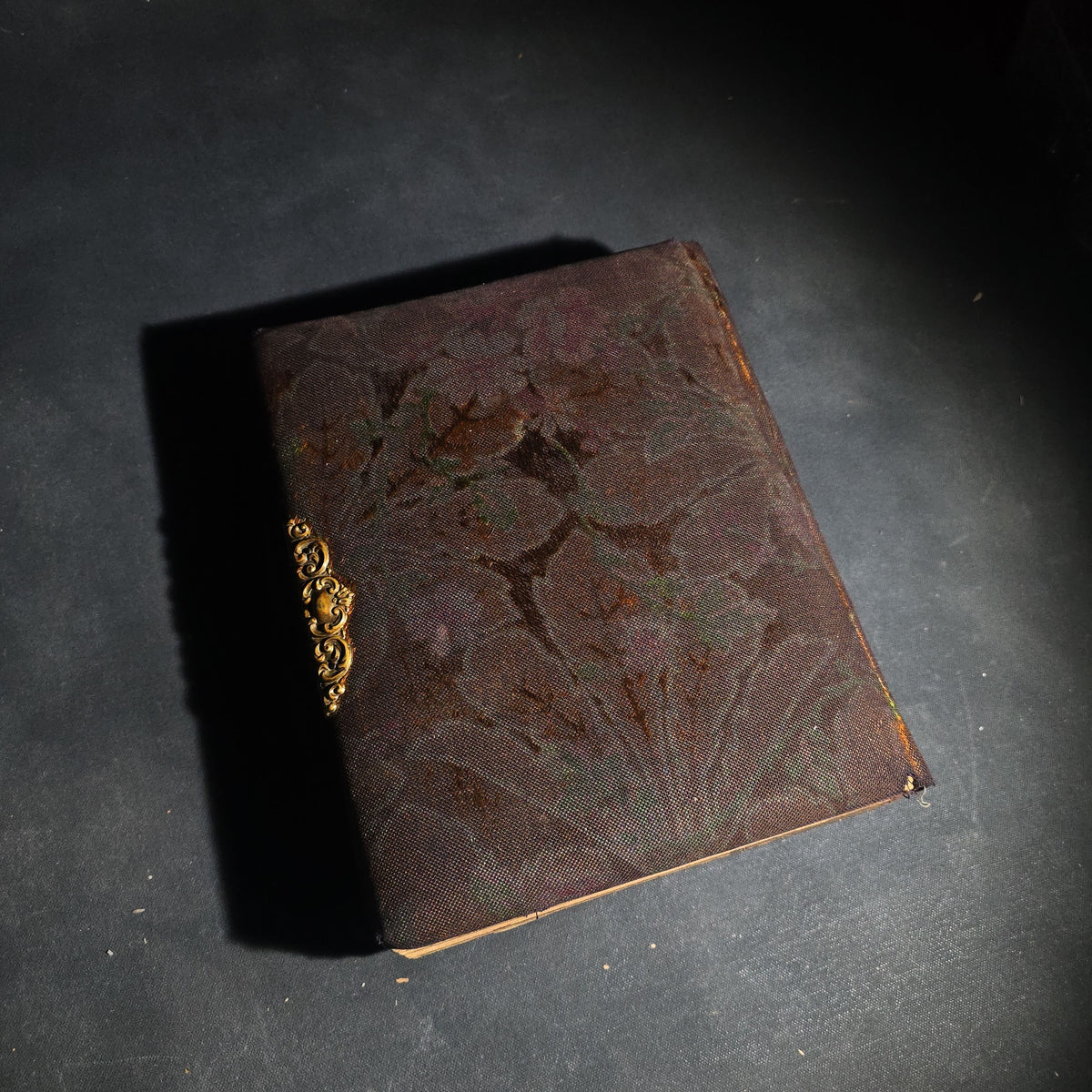 Antique Victorian Celluloid Cover Photo Album with Woman Holding Fan on Cover, Containing Cabinet Card Photographs, C.D.V.s, and Snapshot Photographs