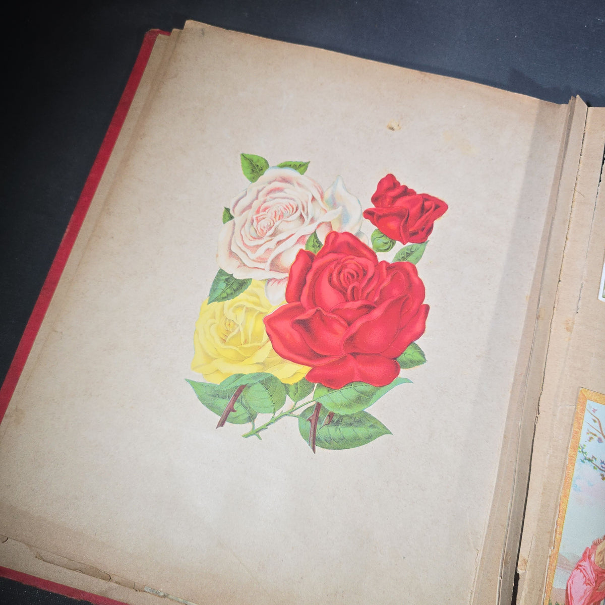 Antique Victorian "Scraps" Scrapbook Album with Over 100 Chromolithograph Trade Cards, Die Cuts, Greeting Cards, and Prints including Hires Root Beer, Great Atlantic & Pacific Tea Co., and Raphael Tuck & Sons
