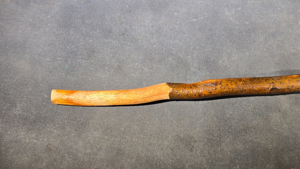 Vintage Folk Art Carved and Painted Alligator Walking Cane with Open-Mouth Handle on Natural Branch Shaft