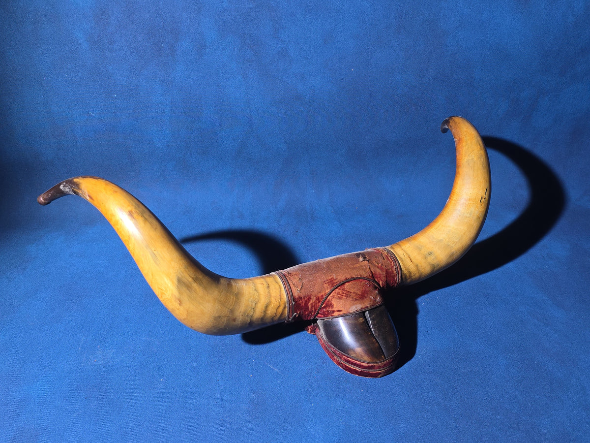 Antique Mounted Steer Horns with Velvet-Covered Wall Plaque and Horn Cup
